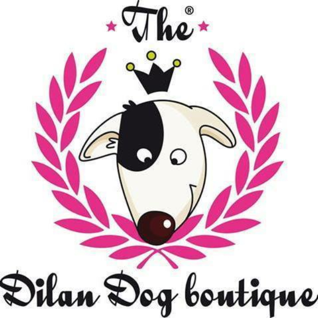 Foto Dilan Dog