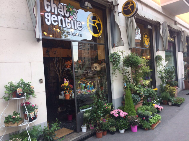 Foto That's Gentile
