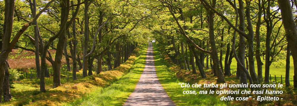 PRIMA SEDUTA CONSULENZA