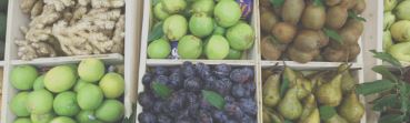 CONSULENZA NUTRIZIONALE