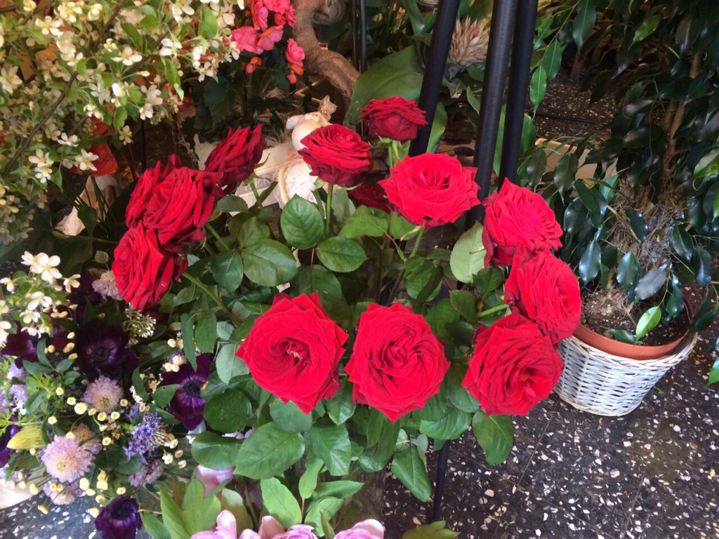 Rose rosse