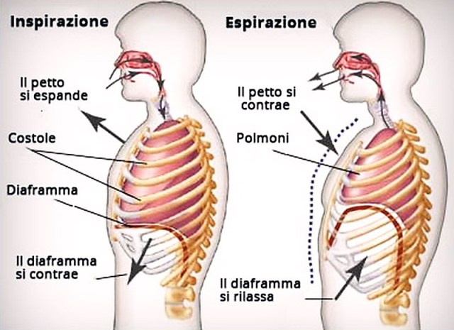 INSUFFICIENZA RESPIRATORIA