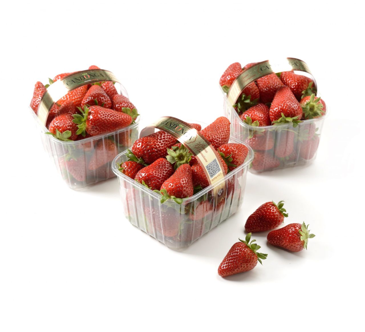 Fragole Candonga “Top Quality”